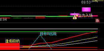 主力进场 · 逢低吸纳指标效果图